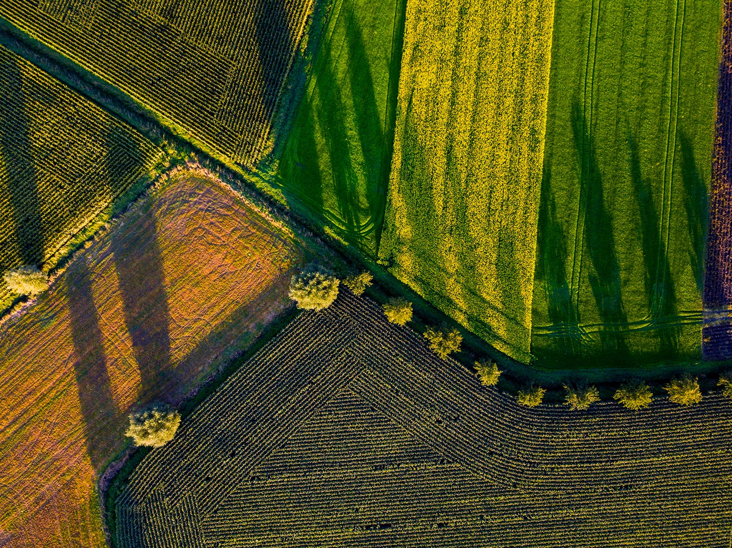 Mesure sur le terrain d'une exploitation agricole
