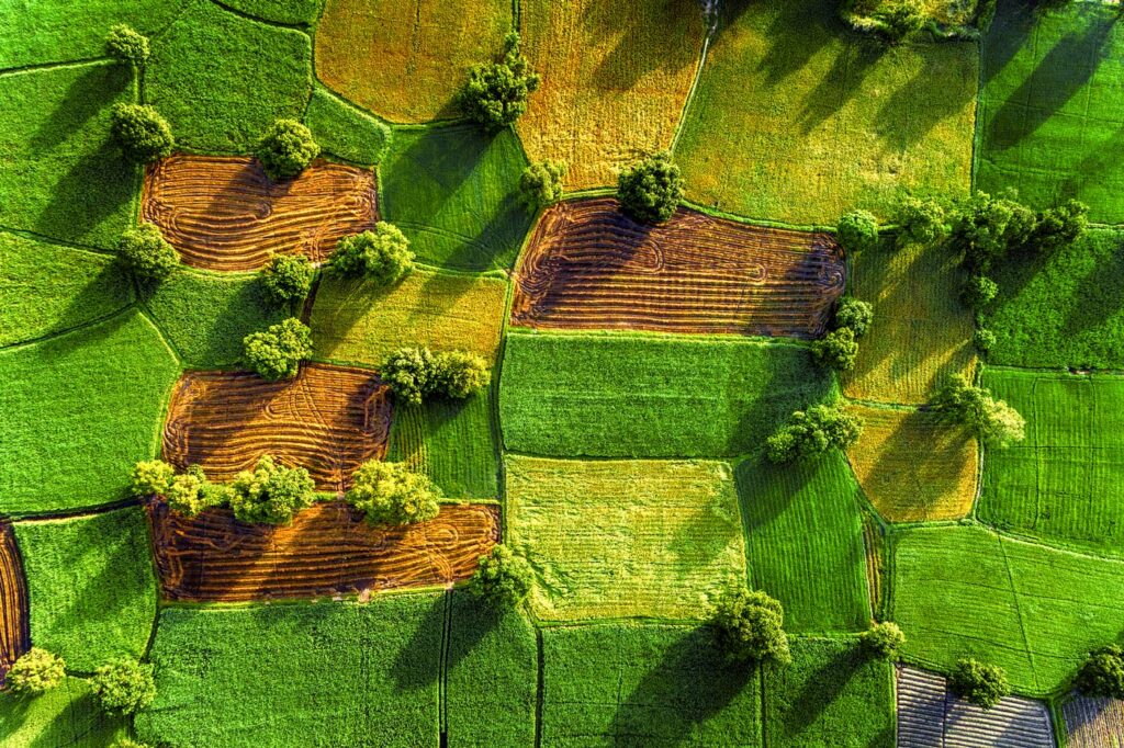 ReGeneration home page - English