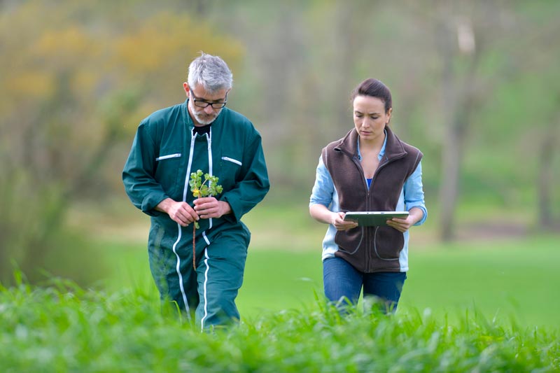 Agriculteur et agronome dans les champs agriculture régénératrice