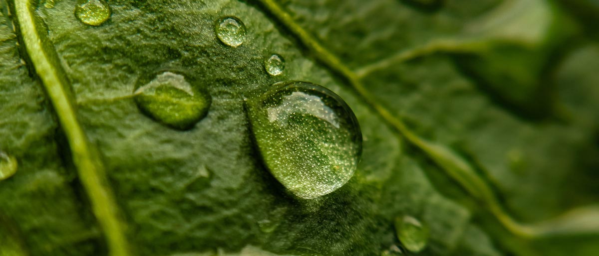 Préservation de la ressource en eau ReGeneration