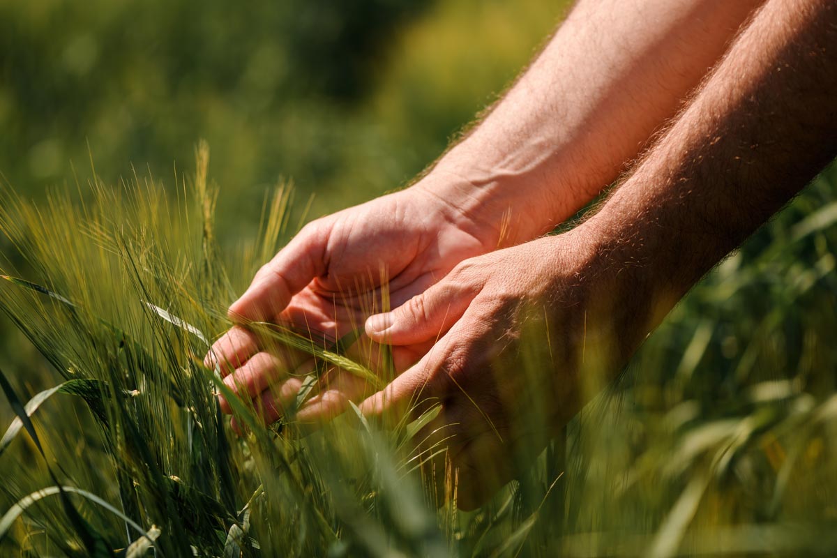 Entreprise régénérative investissez dans la nature impact environnemental