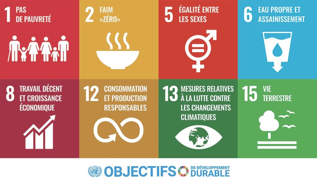 Visuels objectifs de développement durable ODD ONU