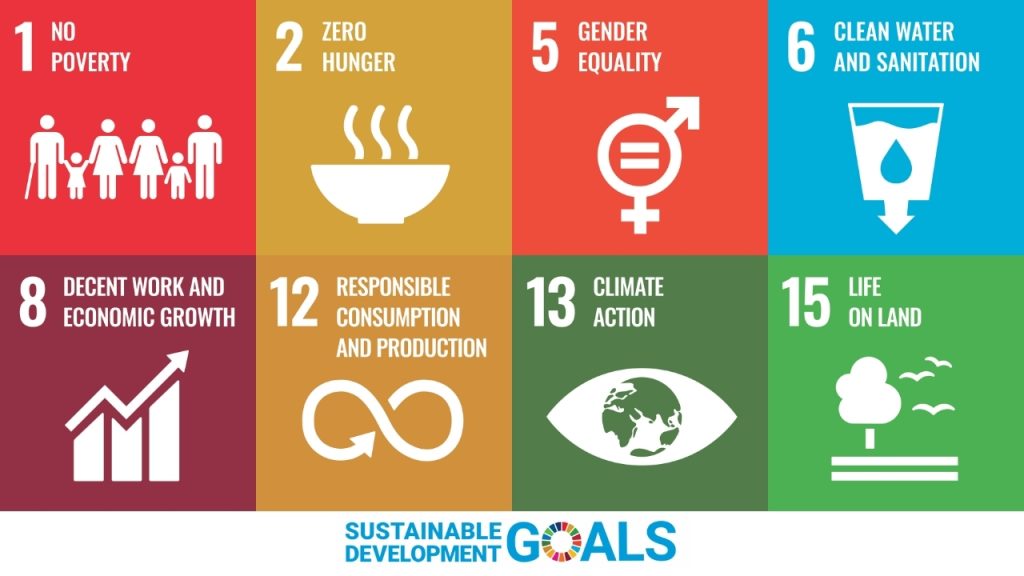 UN SDGs