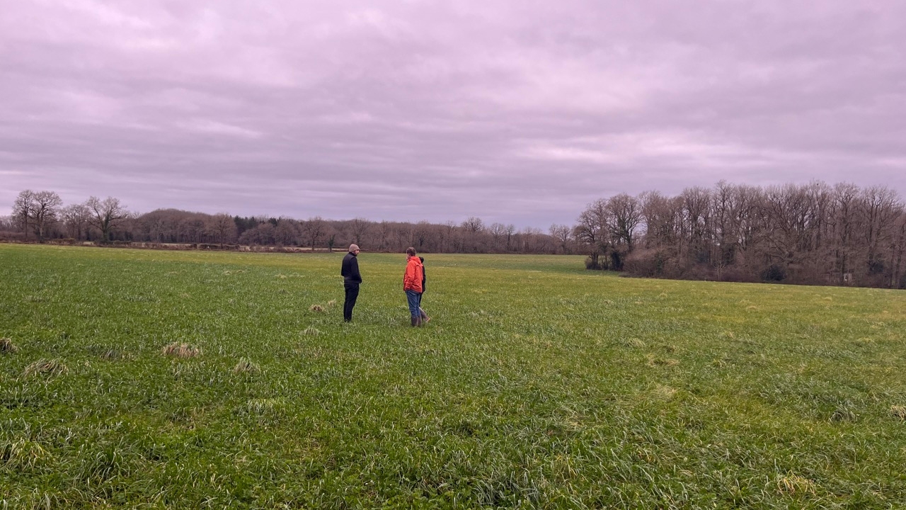 agriculture régénératrice