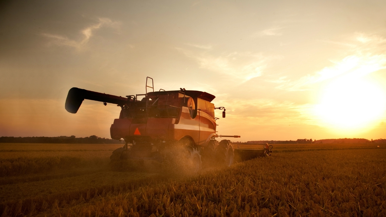 rendements agricoles