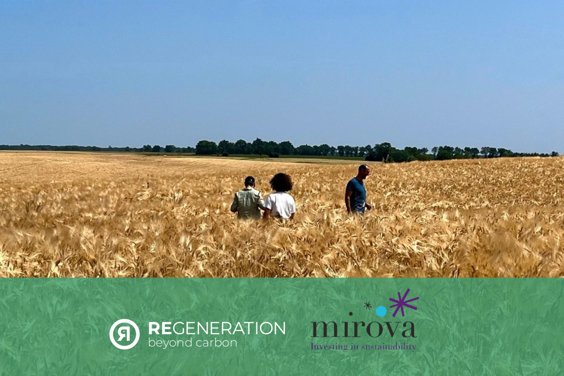 Investissement carbone