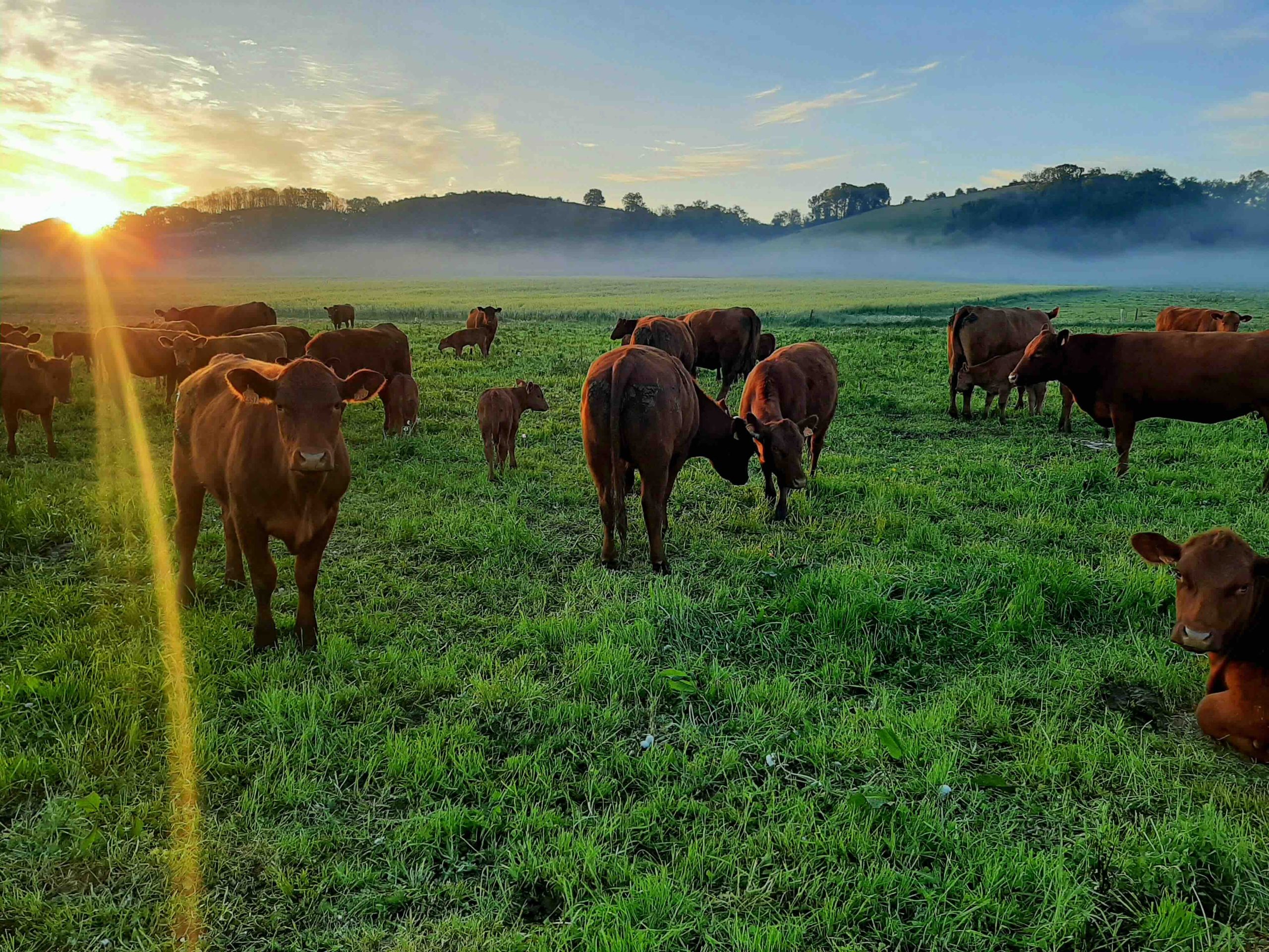 Agricultrice et agriculteur engagés dans un programme de régénération agricole