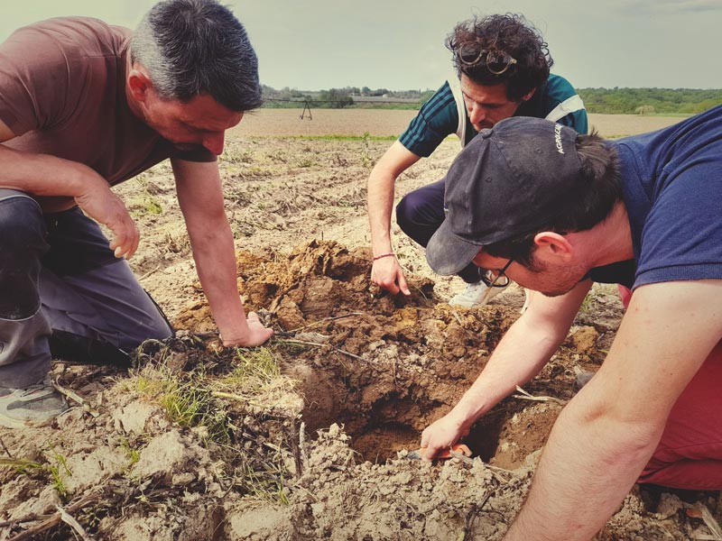 Visite de terrain dans une exploitation agricole